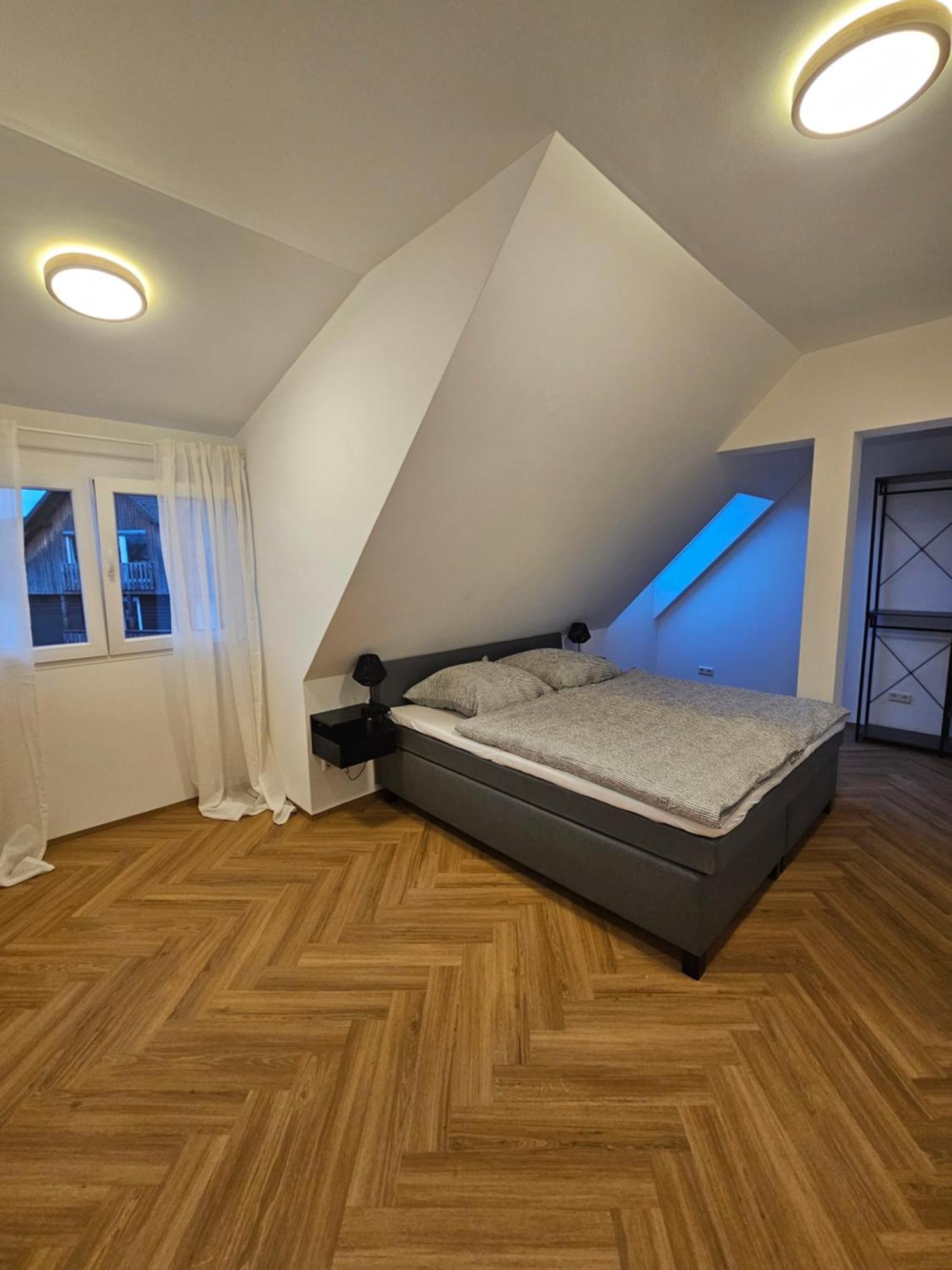 Cozy Living Apartment