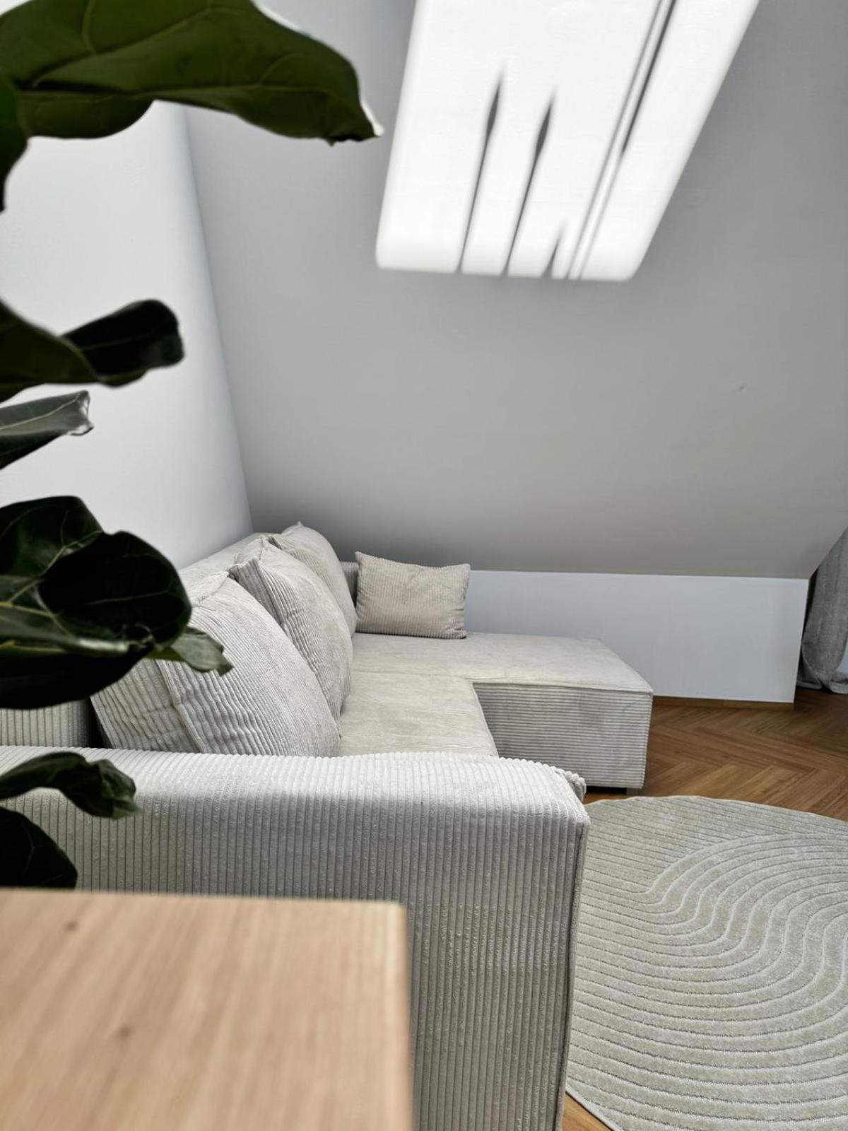 Apartment Cozy Living